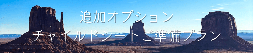 チャイルドシートご準備しました!